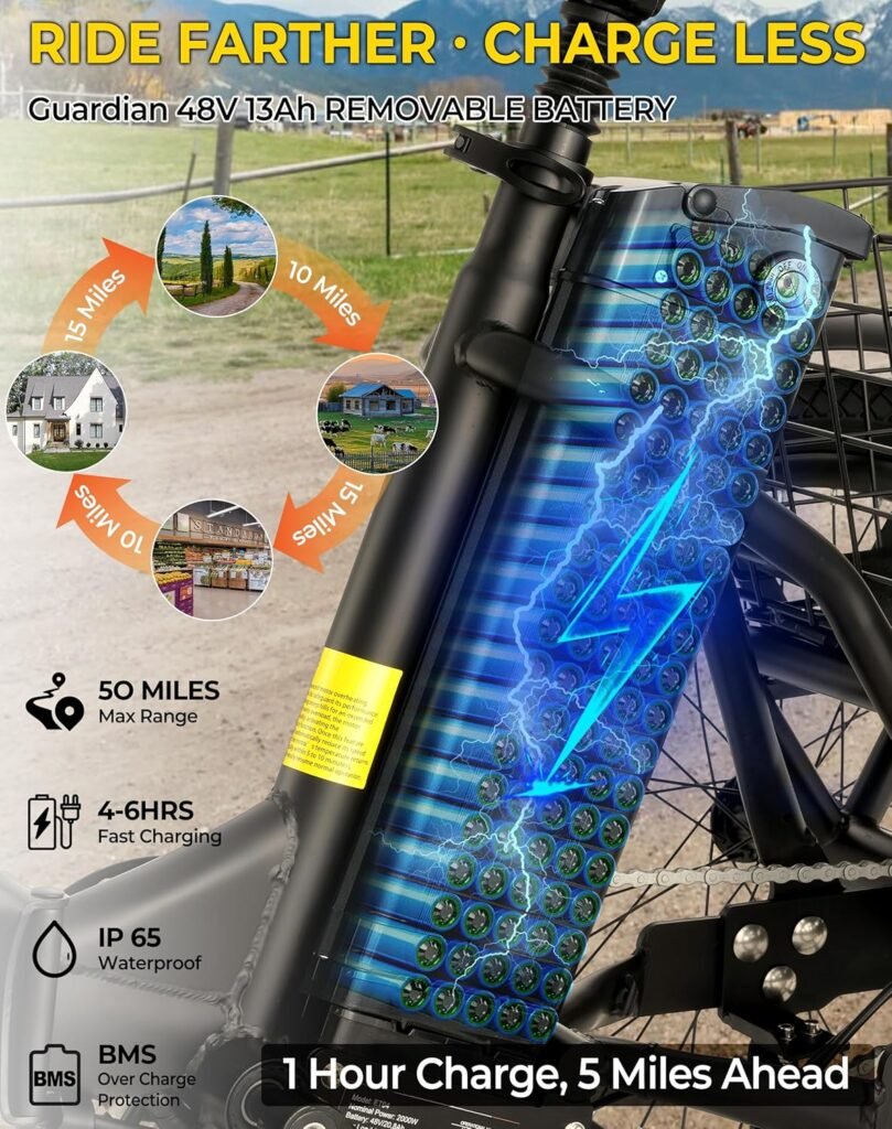 Skeri electric tricycle with removable battery side view